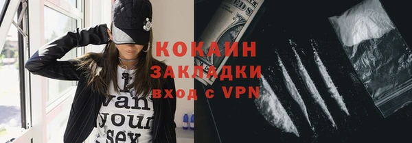 стаф Богданович