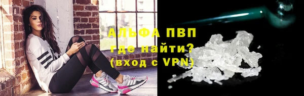 стаф Богданович