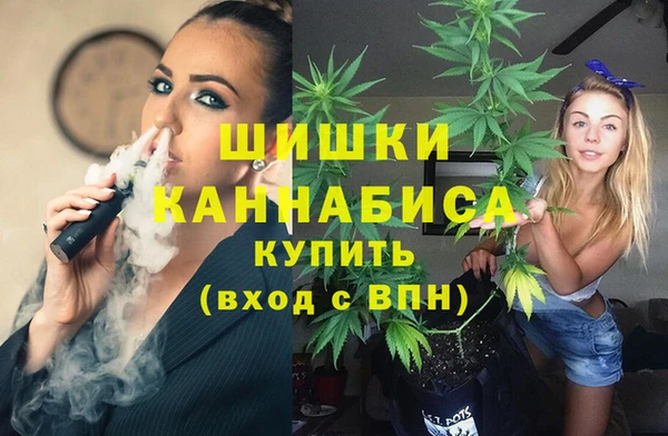 стаф Богданович