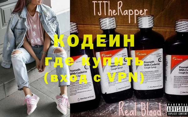 стаф Богданович